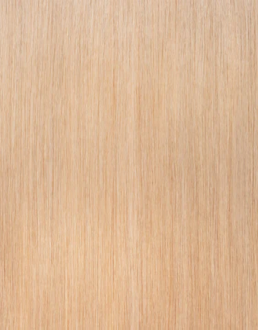 24 Hair Extension shade 24