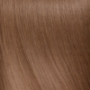 Colour 10 New 2 Hair Extension Colour 10 Light Brown